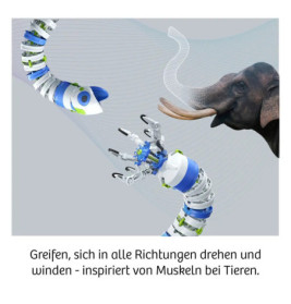 Bionic Robotic Arm