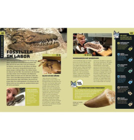 Kosmos SchlauFUX Dinosaurier