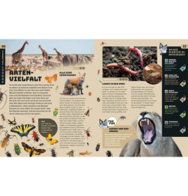 Kosmos SchlauFUX Erde