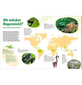 WAS IST WAS Regenwald.