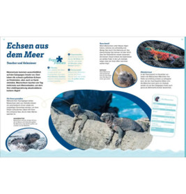 WAS IST WAS Echsen. Kleine Drachen hautnah