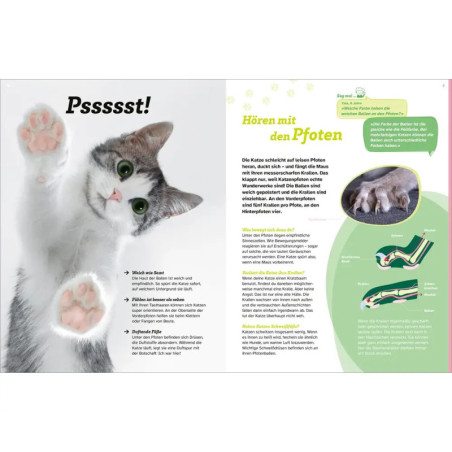 WAS IST WAS Katzen. Eigenwillige Schnurrer