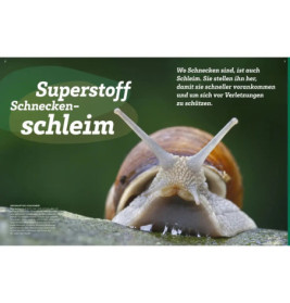 WAS IST WAS Schleim Eklig? Nein,genial!