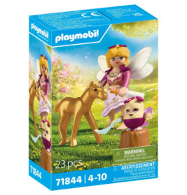 Goldenes Einhornfohlen mit Fee