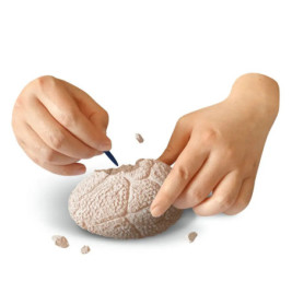 Dino World Explorer Set