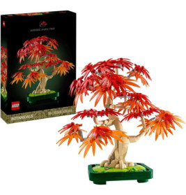 LEGO Set Japanischer Ahorn mit roten und orangefarbenen Blättern, aufgebaut neben der Verpackung.