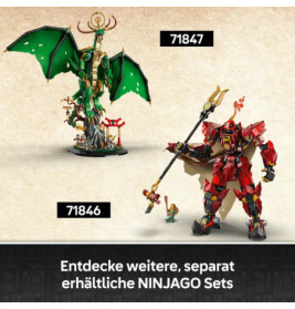 NIN Der Wächterdrache