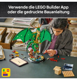 NIN Der Wächterdrache