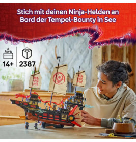 NIN Der Tempel-Flugsegler
