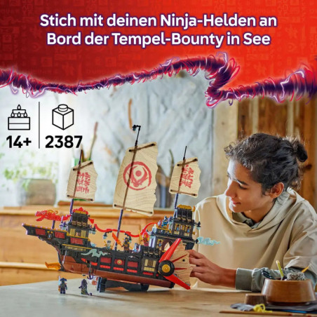 NIN Der Tempel-Flugsegler