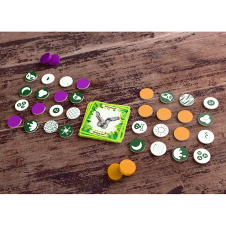 Tiere der Welt - Bingo