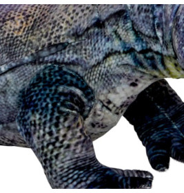 Waran - Nature Zoom Wild