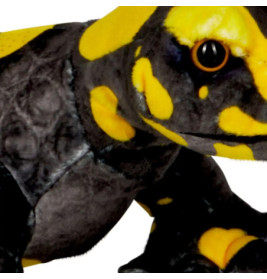 Feuersalamander - Nature Zoom