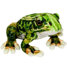 Realistischer grüner Plüschfrosch mit Musterung und großen Augen auf weißem Hintergrund.