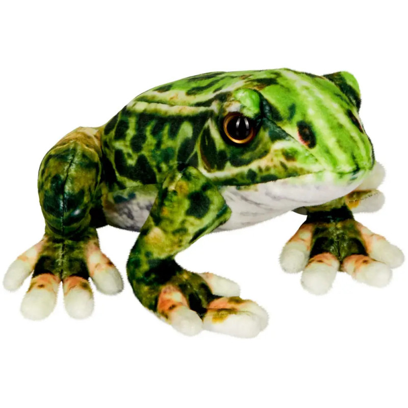 Realistischer grüner Plüschfrosch mit Musterung und großen Augen auf weißem Hintergrund.