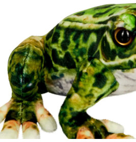 Frosch - Nature Zoom Wild