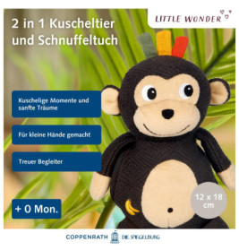 Kuscheltier mit Schnuffeltuch Affe - Little Wonder