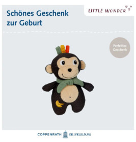 Knistertier Affe - Little Wond er