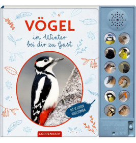 Kinderbuchcover mit Spechtfoto und Soundknöpfen, die verschiedene Wintervögel zeigen.