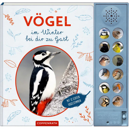 Kinderbuchcover mit Spechtfoto und Soundknöpfen, die verschiedene Wintervögel zeigen.
