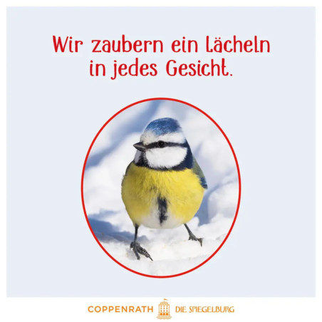 Vögel im Winter bei dir zu Gast (Soundbu