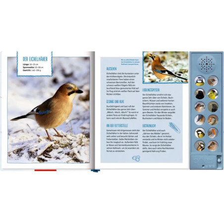 Vögel im Winter bei dir zu Gast (Soundbu