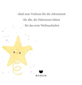 Das kleine Weihnachtssternche