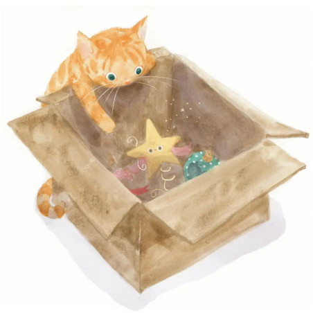 Das kleine Weihnachtssternche