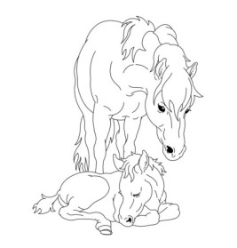 Glitzer-Malblock: Pferdefreund