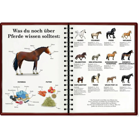 Mein riesengroßes WimmelSuchBuch: Pferde