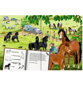 Mein riesengroßes WimmelSuchBuch: Pferde