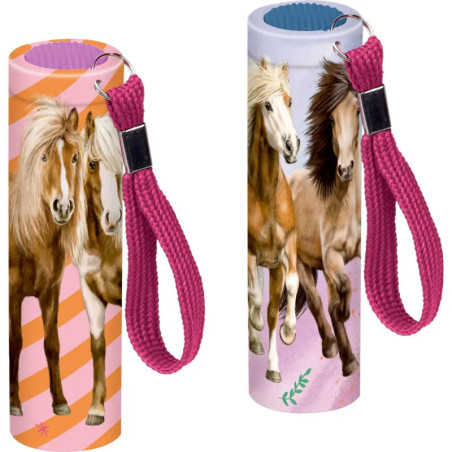 Kleine Taschenlampe - Pferdefreunde, sortiert