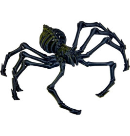 Zombie-Spinne - Wild+Cool, sortiert