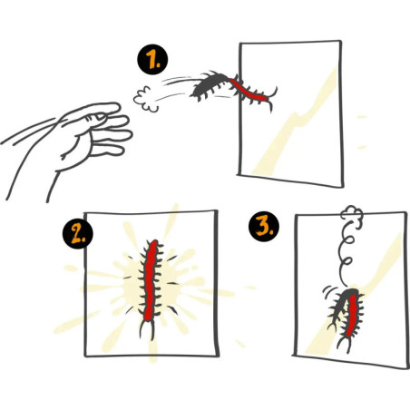 Klebriger Tausendfüßler - Wild+Cool
