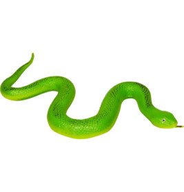 Grusel-Schlange - Wild+Cool, sortiert