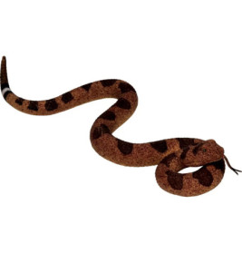 Grusel-Schlange - Wild+Cool, sortiert