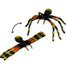 Biege-Spinne - Wild+Cool, sortiert