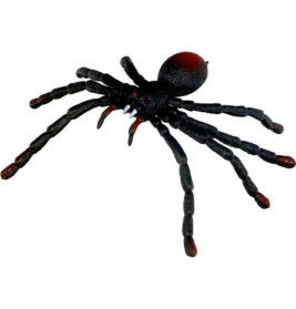 Biege-Spinne - Wild+Cool, sortiert