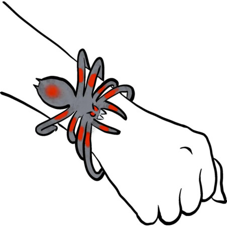 Biege-Spinne - Wild+Cool, sortiert