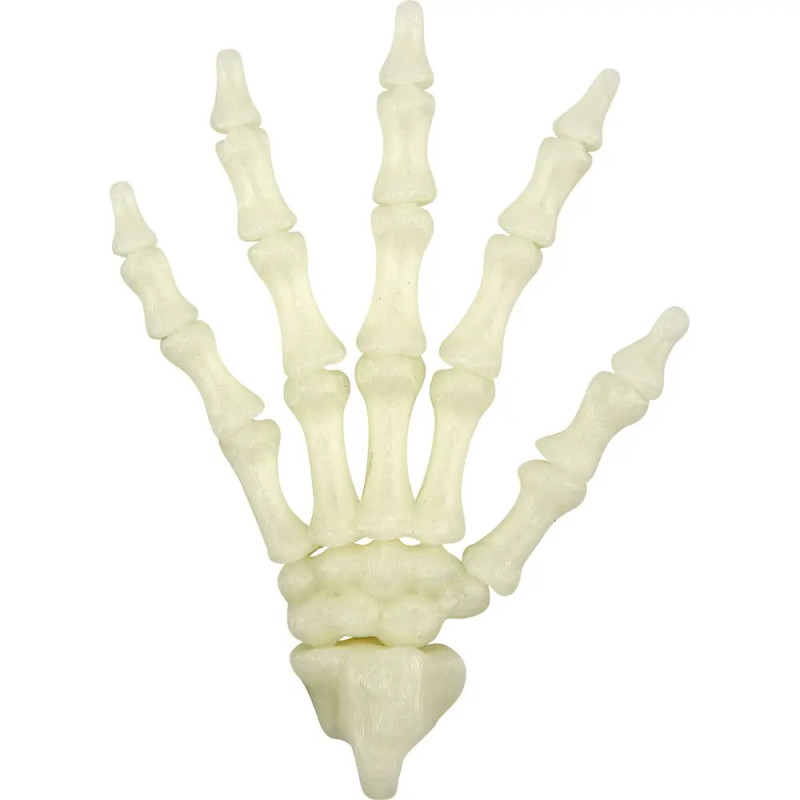 Fluoreszierende Skelett-Hand - Wild+Cool