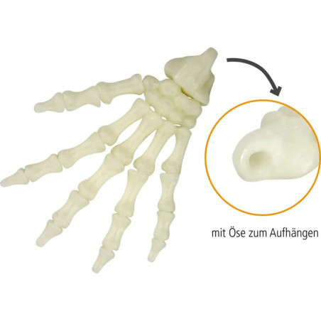 Fluoreszierende Skelett-Hand - Wild+Cool