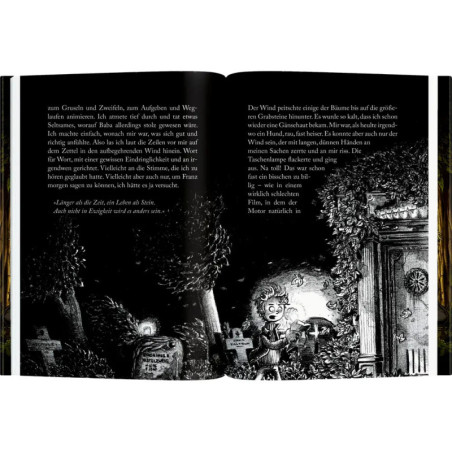 Die Finstersteins (Bd.1) - We