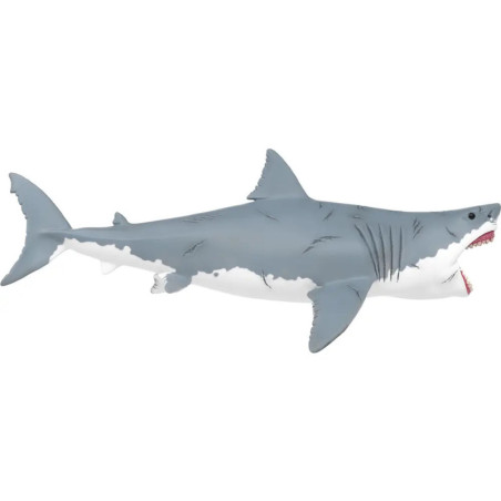Megalodon