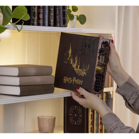 HP Tiny Adventures -  Winkelga sse Diagon Alley