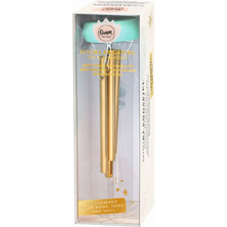 Münzgrüner und goldener Mini-Gesichtsroller in transparenter Box mit goldener Schrift und Blumenmuster.