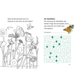 Bücherhelden 2.Kl. Naturrätsel Insekten & Spinnen