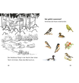 Bücherhelden 2.Kl. Naturrätsel Heimische Vögel