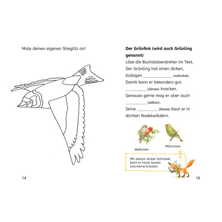 Bücherhelden 2.Kl. Naturrätsel Heimische Vögel