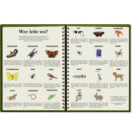 Tiere über und unter der Erde riesengroßes WimmelSuchBuch