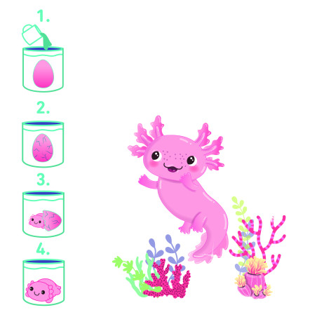 Schlüpfende Axolotl